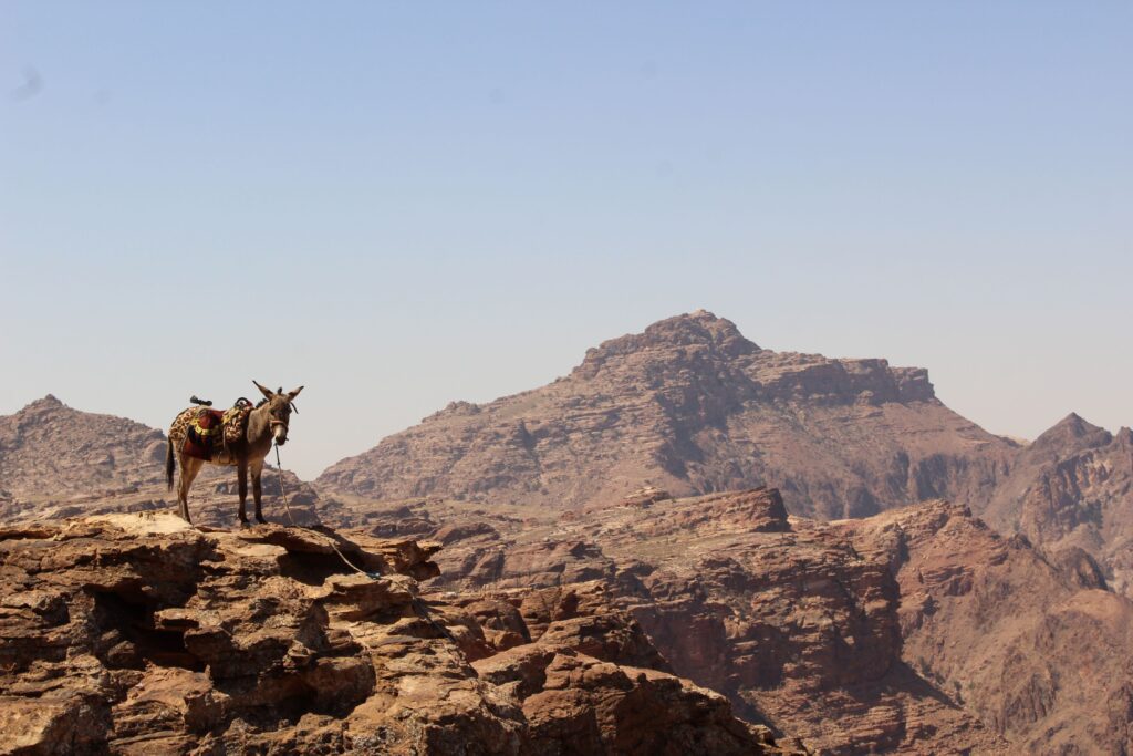 Jordan Trail, Petra, Wadi Musa, The Monastery