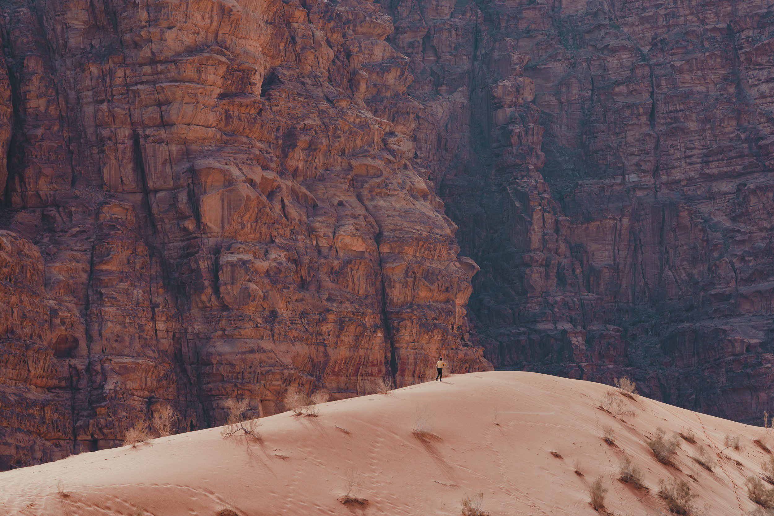 Wadi Rum Jordanie
