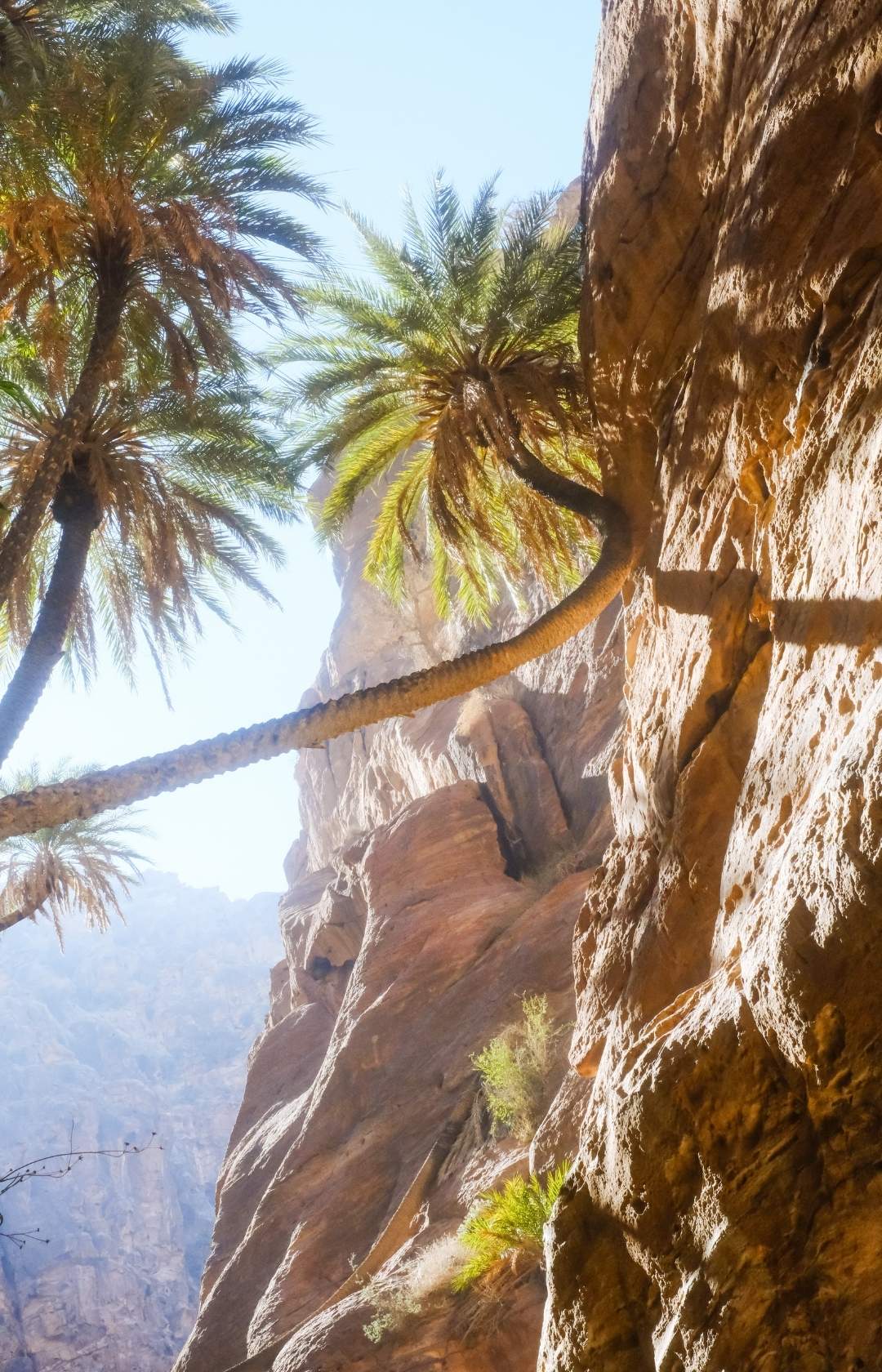 Jordan Trail wandern Jordanien