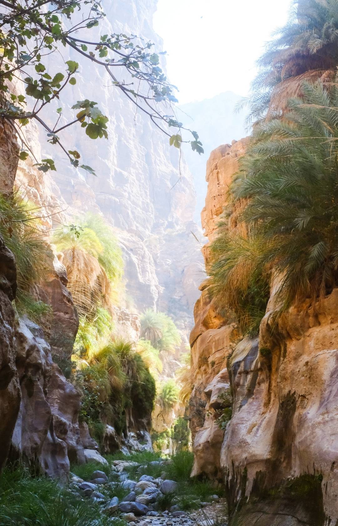 The Jordan Trail Jordanienreise