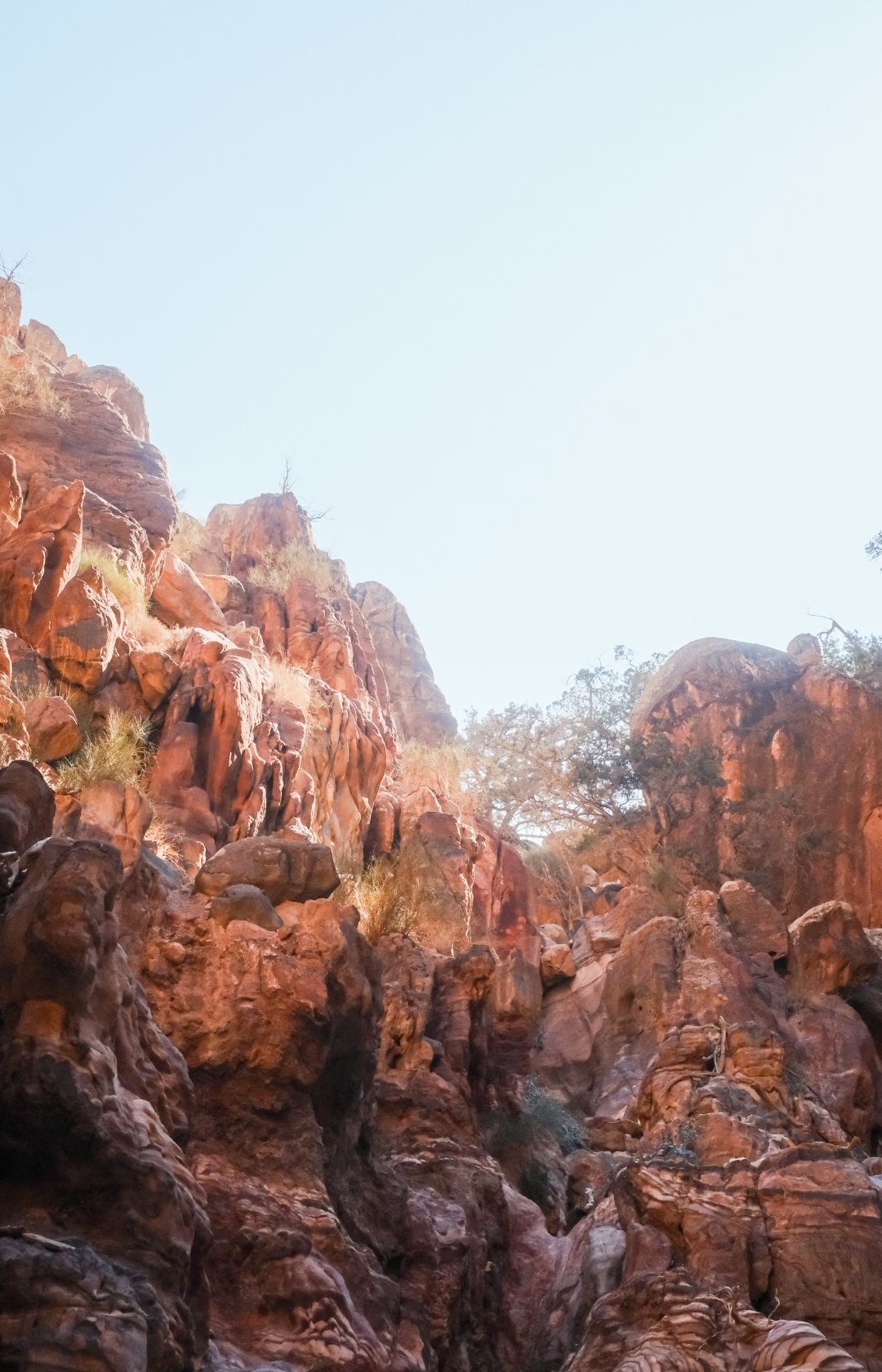 Jordan Trail wandern Jordanien